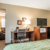 Отель Comfort Inn Edinburg, фото 26