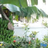 Отель Weizhou Island Yiyu Yisu Seaview Homestay (Wucaitan Branch), фото 13