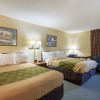 Отель Econo Lodge, фото 3