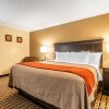 Отель Best Western Plus Magnolia Inn & Suites, фото 31