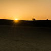 Отель Mystic Jaisalmer, фото 21