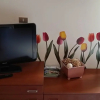 Отель Il Tulipano, фото 11