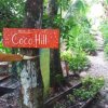 Отель Coco Hill, фото 8