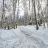 Отель Bearfoot Lodge, фото 1