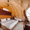 Отель Wadi Rum Rose camP, фото 17