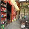 Отель The Phoenix Hostel Shanghai в Шанхае