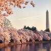 Отель Hyatt Regency Washington on Capitol Hill, фото 18