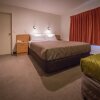 Отель Siena Motor Lodge, фото 2