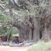 Отель Baobab Lodge, фото 27