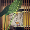 Отель Hyatt Place Vijayawada, фото 25