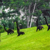 Отель Summit Rainforest & Golf Resort, фото 31