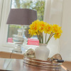 Отель Pirombo Bed & Breakfast, фото 21