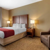 Отель Comfort Inn & Suites, фото 3