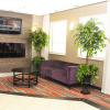 Отель Holiday Inn Express Hotel & Suites Barrie, an IHG Hotel, фото 2