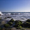 Отель Burns Beach Bed & Breakfast, фото 13