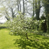 Отель Tasteful Villa on the Polish Coast in Beautiful Nature, Lovely Garden, Sauna, фото 27