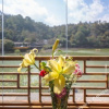 Отель Yiyun Lakeside Inn, фото 7