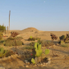 Отель Succah in the Desert, фото 9