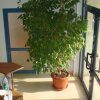 Отель Sunny Planex, фото 4
