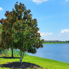 Отель Vista Cay Modern, фото 17