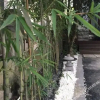 Отель Zihan B&B (Hangzhou West Lake Branch), фото 5