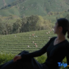 Отель Anji Tree Down Xiaobaiwu Homestay, фото 18