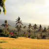 Отель Lafyu Bali, фото 2