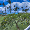 Отель Napili Shores Maui by OUTRIGGER, фото 19