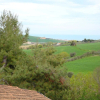 Отель Agriturismo OASI BIO VERDE MARINA, фото 6