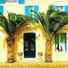 Отель Maison des Palmiers, фото 1