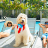 Отель Hyatt Place Bayamon, фото 33