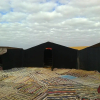 Отель Nomadic Luxury Camp, фото 11
