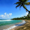 Отель Dorado Beach, a Ritz-Carlton Reserve, фото 41
