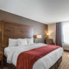 Отель Comfort Inn, фото 7