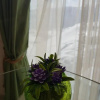 Отель Ski Loft A, фото 10