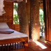 Отель Tree House-Midigama, фото 2