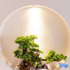 Отель Qingfeng Four Seasons Boutique B&B (Zixing Dongjiang Lake Scenic Area), фото 14