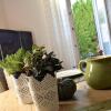 Отель Cozy Apartment in Niehagen Germany With Terrace, фото 8