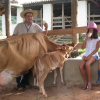 Отель Fazenda da Roseta, фото 17