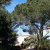 Отель B&B Il Pino, фото 1