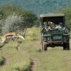 Отель Ongava Tented Camp, фото 19