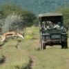 Отель Ongava Tented Camp, фото 16