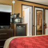 Отель Econo Lodge, фото 6