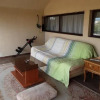 Отель Pensiunea Giovani, фото 3