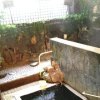 Отель Naruko Onsenkyo Isazen Ryokan, фото 21