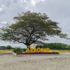 Отель Arboreo Doradal, фото 31
