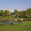 Отель Sabi River Sun Resort, фото 22