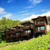 Отель Alishan Mountain B&B, фото 1