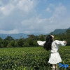 Отель Dali Xingshan Yimu Countryside Landscape Homestay (Majiuyi), фото 8