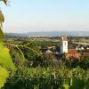 Отель Ferienwohnung in Süddeutschland (D-CH-F), фото 13